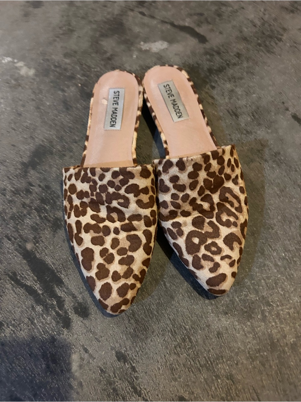 Steve Madden Leopard-Print Pointed-Toe Slip-On Mules - Brown/Tan